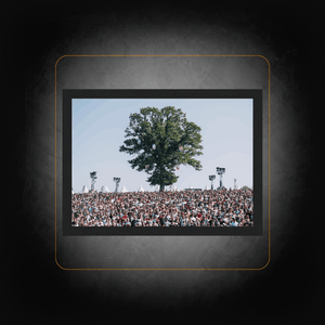 Framed photo "Between nature and music" - Papillons de Nuit