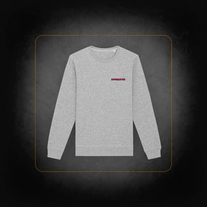 Gray Supernature Sweatshirt - Cerrone