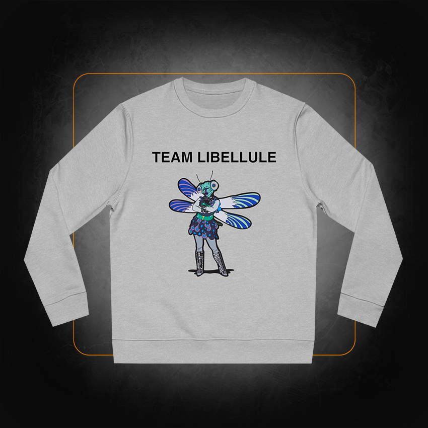 Team Libellule sweatshirt - Mask Singer