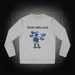 Team Libellule sweatshirt - Mask Singer